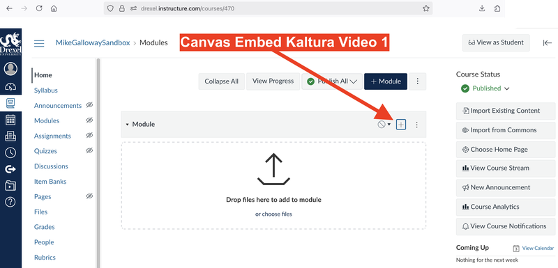Canvas Embed Kaltura Video 1