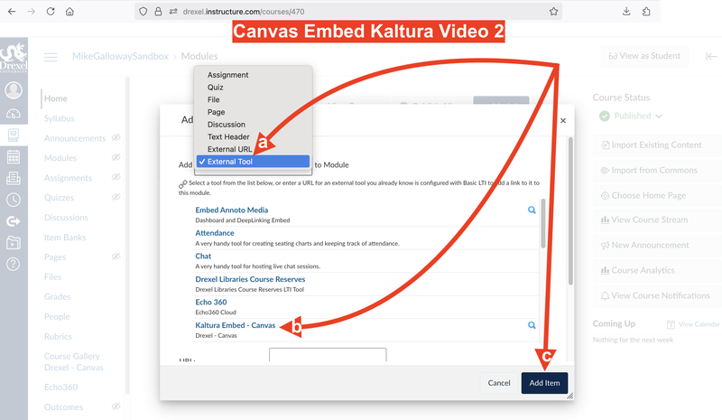 Canvas Embed Kaltura Video 2