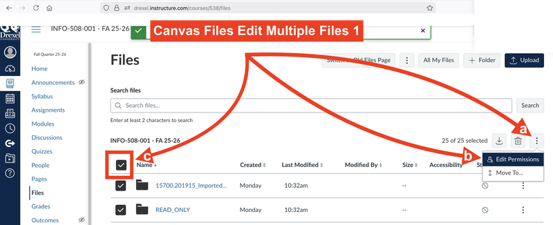 Canvas Files Edit Multiple Files 1