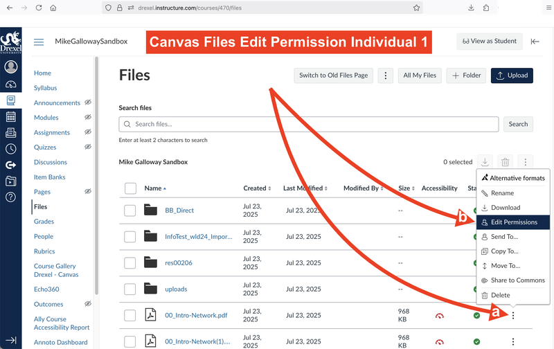 Canvas Files Edit Permission Individual 1