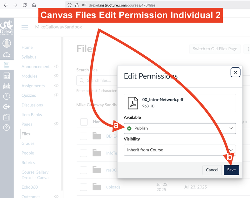 Canvas Files Edit Permission Individual 2