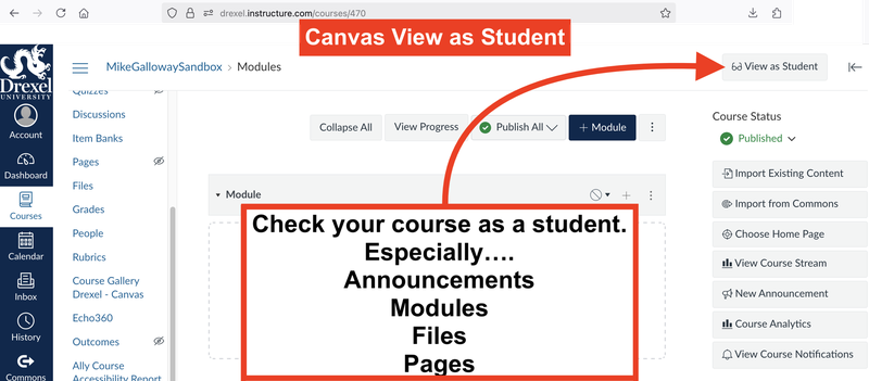 Canvas View as Student