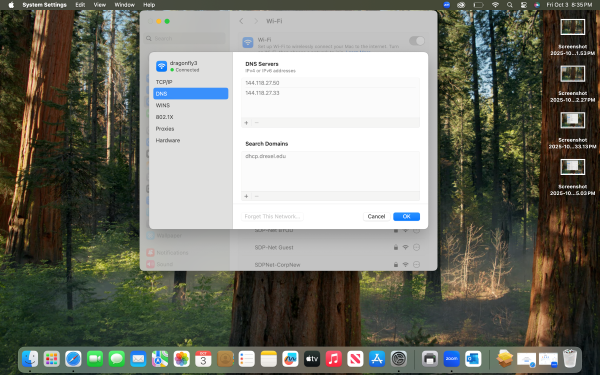 Image of the Details button pressed and the DNS Servers window opened