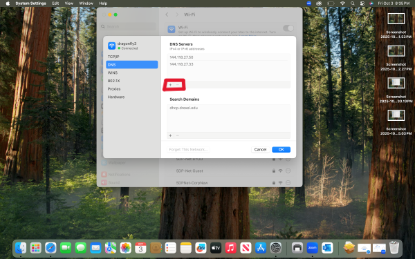 Image of the location of the minus button for removing custom DNS Server addresses